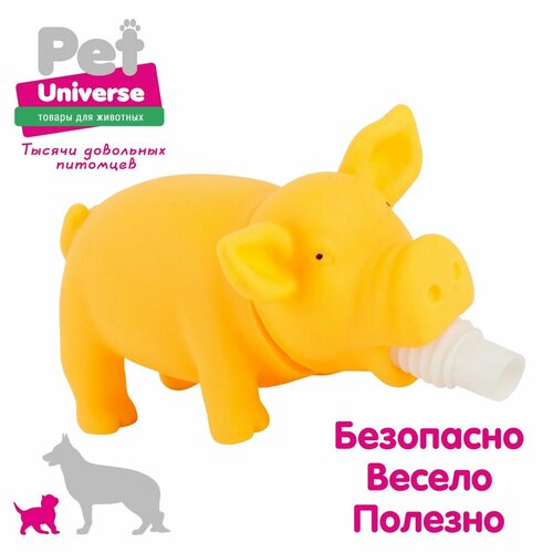 Игрушка для собак Pet Universe хрюкающий поросёнок со звуком, 15х6х7 см, винил, жёлтый PU3027Y фотография