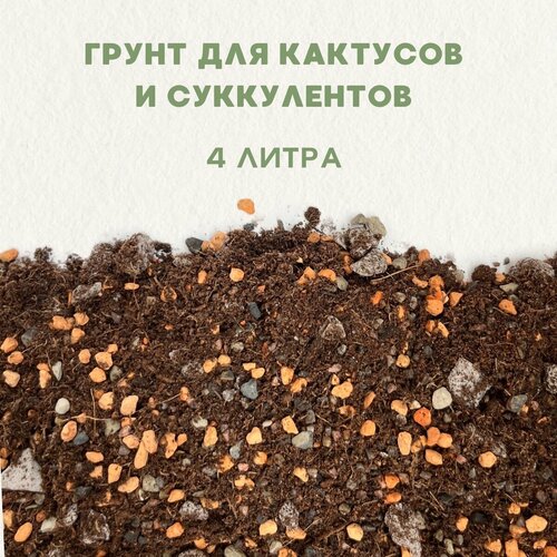 Готовый грунт для кактусов и суккулентов. Грунт для сансевиерии. 4 литра. купить за 1470 руб, фото