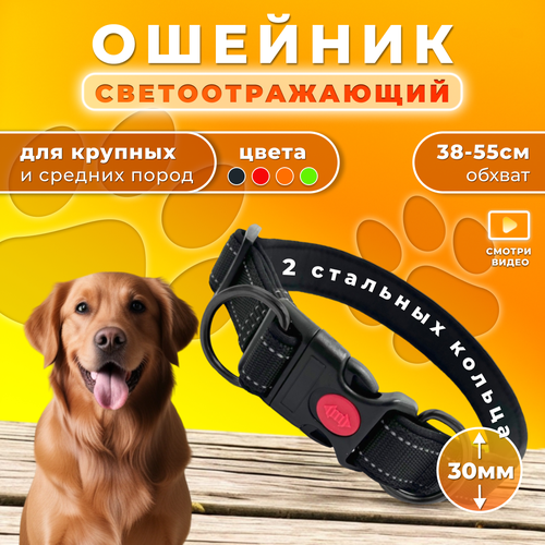 Ошейник Doggy&Dog Shop, для крупных и средних собак, с двумя кольцами, светоотражающий, черный купить за 499 руб, фото