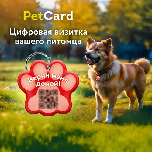 Адресник PetCard для собак и кошек с QR кодом и NFC, красный. купить за 450 руб, фото