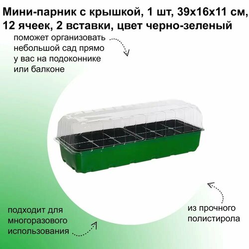 Мини-парник с крышкой 39х16х11 см, 12 ячеек, 2 вставки, цвет черно-зеленый. Емкость предназначена для выращивания рассады. купить за 398 руб, фото