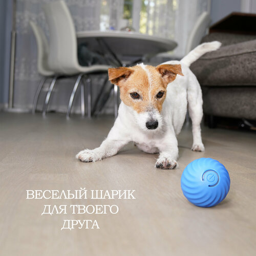 Вращающийся умный шарик petgravity для собак с автоматическим избеганием препятствий синего цвета фотография