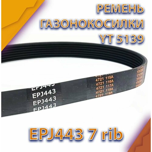 Ремень для газонокосилки Technobelt EPJ443 фотография