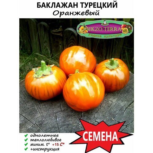 Семена Баклажан Турецкий, Оранжевый 3 шт. фотография