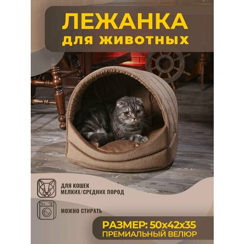 Домик Лежанка для Кошки, Кота, Лежак Кошек, Собак с Подушкой фотография