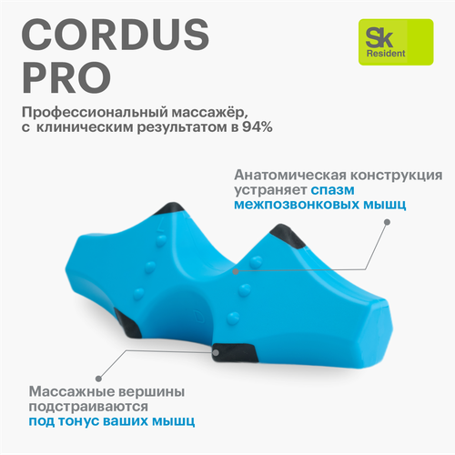 Cordus Pro (Easy) - массажер для спины шеи и поясницы. купить за 6990 руб, фото