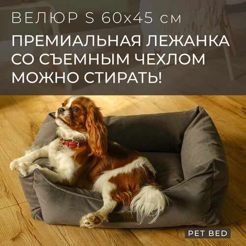 Лежанка для собак мелких пород со съемным чехлом PET BED Велюр, размер S 60х45 см, темно-серая купить за 5271 руб, фото