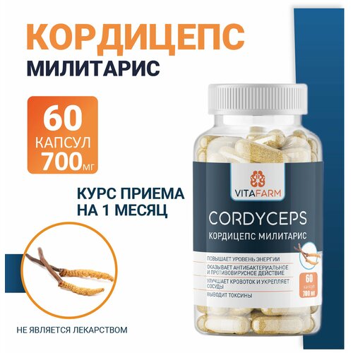 Кордицепс милитарис (Cordyceps militaris) капсулы 60 шт/ 700 мг купить за 474 руб, фото