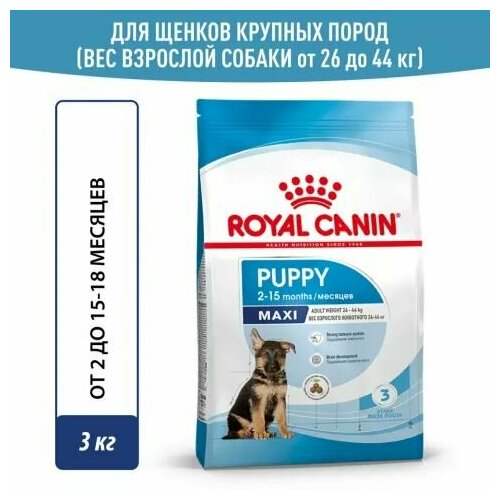 Royal Canin Maxi Puppy Сухой корм для щенков крупных пород в возрасте от 2 до 15 месяцев, 3 кг фотография