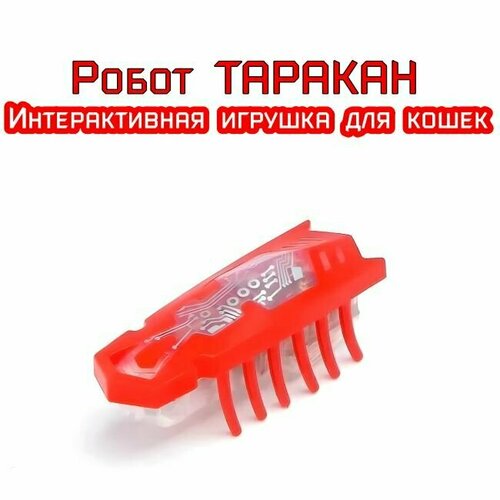 Игрушки для кошек таракан на батарейках подарки для детей фотография