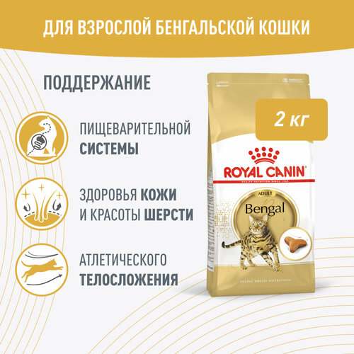 Корм сухой ROYAL CANIN Bengal Adult для взрослых бенгальских кошек старше 12 месяцев (бенгал эдалт) 2 кг фотография