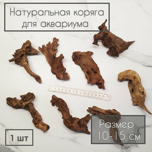 Натуральная коряга для аквариума 10-15 см (1 шт) фотография