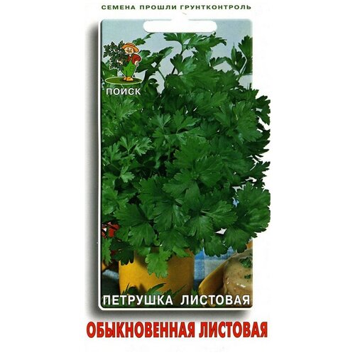 Семена Петрушка Обыкновенная листовая 3гр. фотография