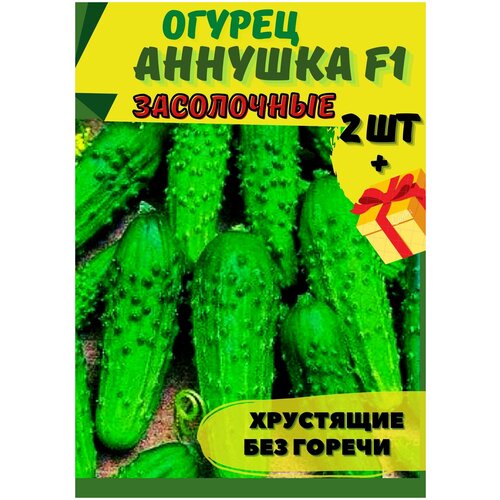 Огурец 