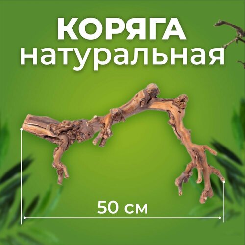 Коряга Виноградная лоза темная 50 см купить за 2700 руб, фото