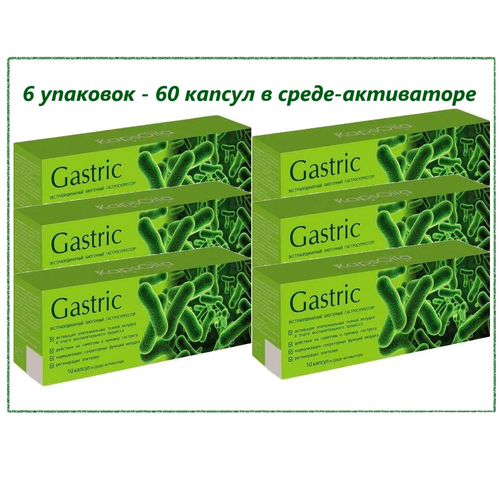 Gastric KapsOila (Гастрик Капсойла) для желудка и кишечника, капсулы, 6 упаковок по 10 шт. Сашера-МЕД. фотография