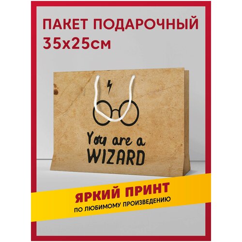 Пакет подарочный сувенирный с принтом Harry Potter / Гарри Поттер и школы Хогвартса: Гриффиндор, Слизерин, Пуффендуй, Когтевран фотография