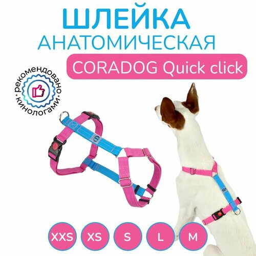 Шлейка прогулочная анатомическая для средних и крупных пород собак, CORADOG Quick click, размер M, цвет голубой, ярко розовый фотография