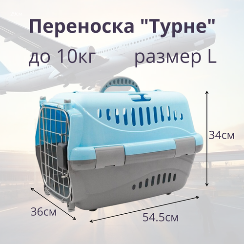 Переноска для животных Zooexpress Турне L авиа с металлической дверцей (коврик + ремень) голубая, 54.5 х 36 х 34см фотография