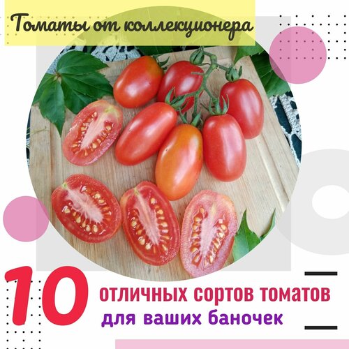 Семена томатов, 10 сортов для консервации, идеальные 