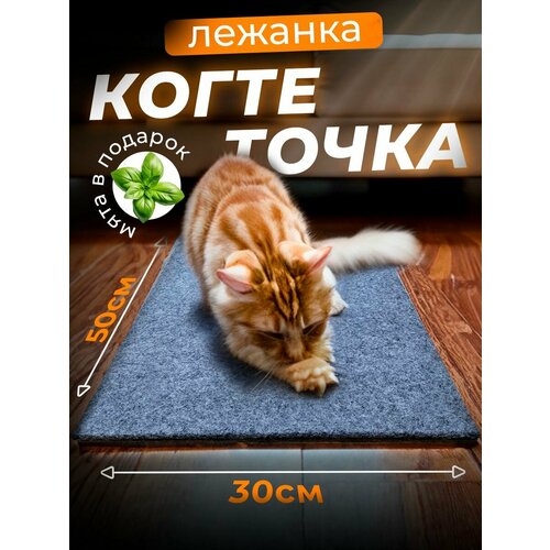 Когтеточка для кошки напольная лежанка с кошачьей мятой, 50х30 см/ серая купить за 524 руб, фото