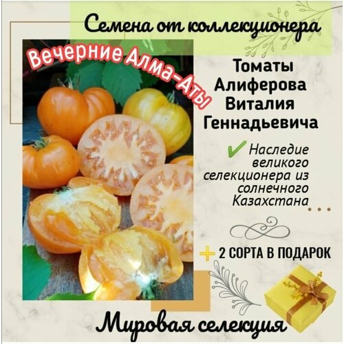 Томаты Виталия Алиферова, сорт 