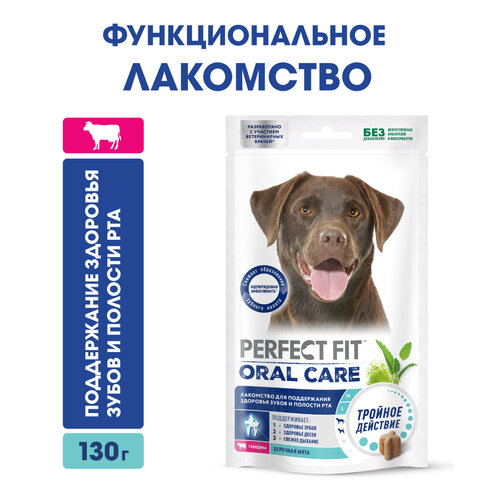 Лакомство для собак Perfect Fit ORAL CARE с говядина и мята «Для поддержания здоровья зубов и полости рта», 1040 г фотография