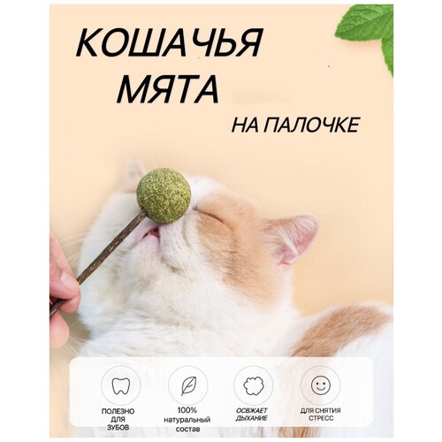 Игрушка для кошек из натуральной кошачьей мяты шарик/Мятный мячик/Шар из кошачьей мяты фотография