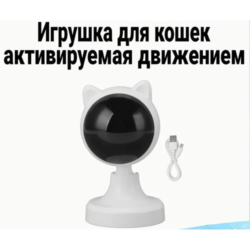 Лазерная игрушка для кошек фотография