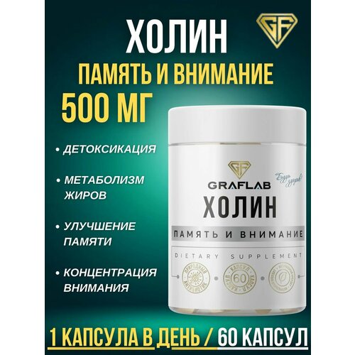 Холин (Choline), Витамин В4, 500 мг, 60 капсул фотография