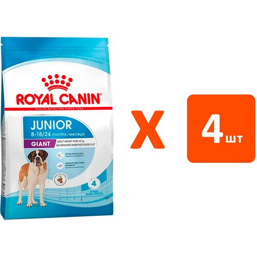 ROYAL CANIN GIANT JUNIOR для щенков крупных пород (3,5 кг х 4 шт) купить за 9338 руб, фото