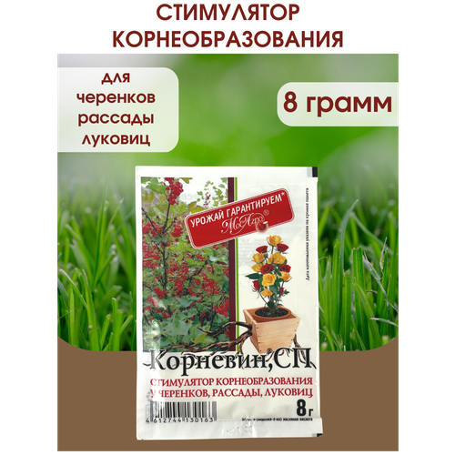 Корневин Стимулятор образования и роста корней, Упаковка - 8 гр. купить за 114 руб, фото