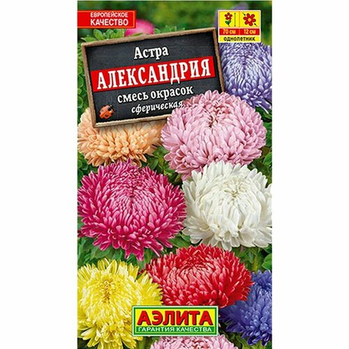 Семена Астра Александрия сферическая 0.2г Одн смесь 70см (Аэлита) купить за 39 руб, фото