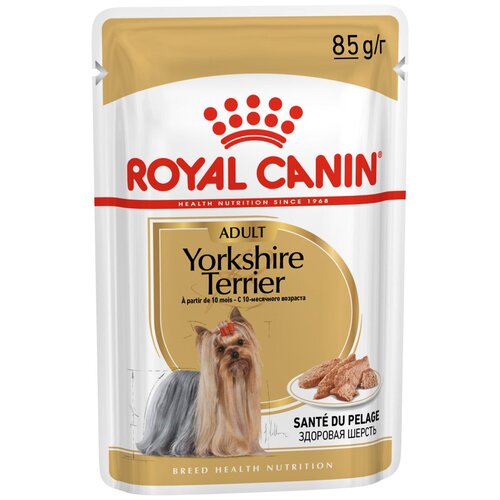 Влажный корм для собак Royal Canin породы Йоркширский терьер, для здоровья кожи и шерсти 1 уп. х 1 шт. х 85 г (для мелких и карликовых пород) фотография