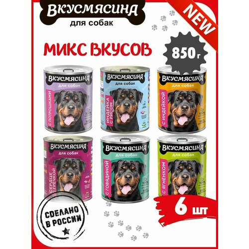 Корм влажный для собак, вкусмясина микс 31 из 6 вкусов, 6 шт. х 850 г фотография