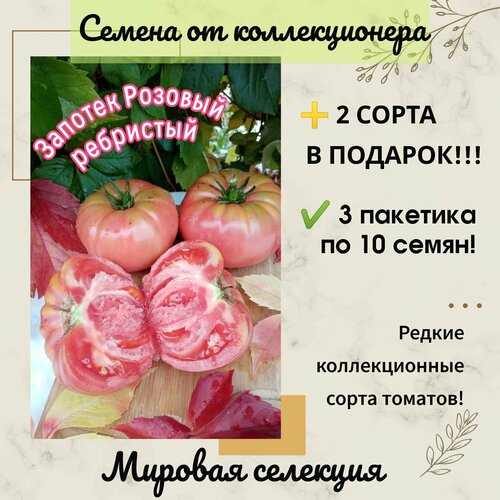 Томат Запотек Розовый ребристый, мировая селекция, коллекционный сорт фотография