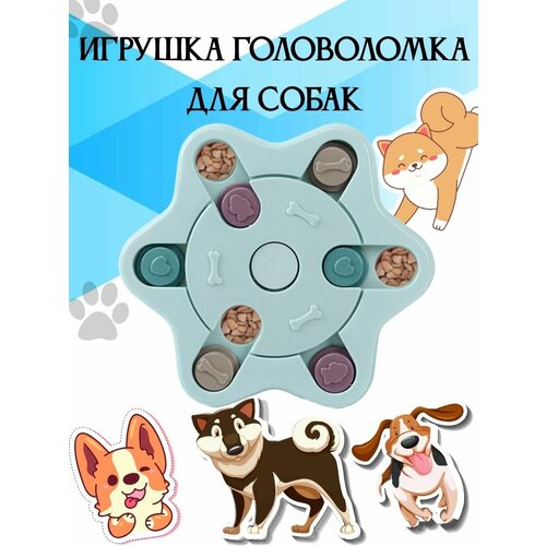 Игрушка кормушка для собак, головоломка ловушка для корма, миска пазл для медленного кормления купить за 1109 руб, фото