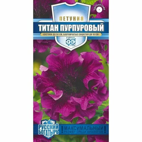 Семена Петуния Титан Пурпуровый бахромчатая 7шт Одн 50см (Гавриш) Русский богатырь купить за 64 руб, фото