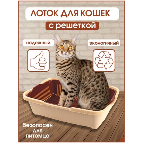 Лоток для кошек средний размер с сеткой , Бежево-коричневый, DD Style, 42х32х11 см фотография