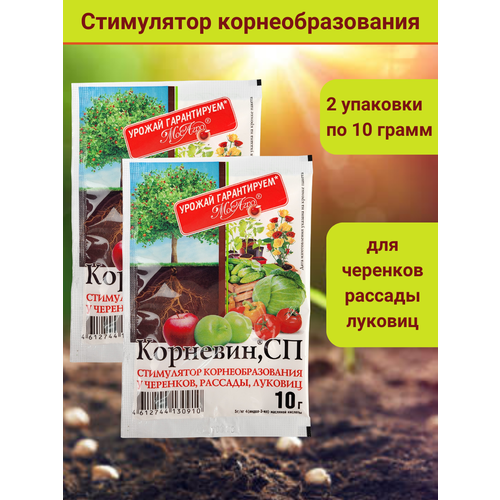 Корневин, стимулятор образования роста корней, в комплекте 2 упаковки по 10 г. купить за 231 руб, фото