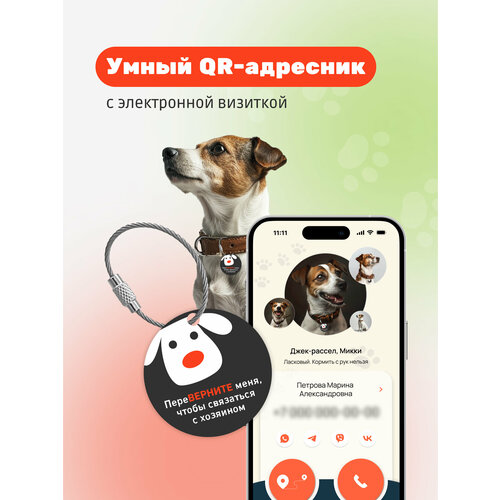 Умный адресник-медальон на ошейник для собаки с QR-кодом, контактами владельца и мобильным приложением хозяина фотография