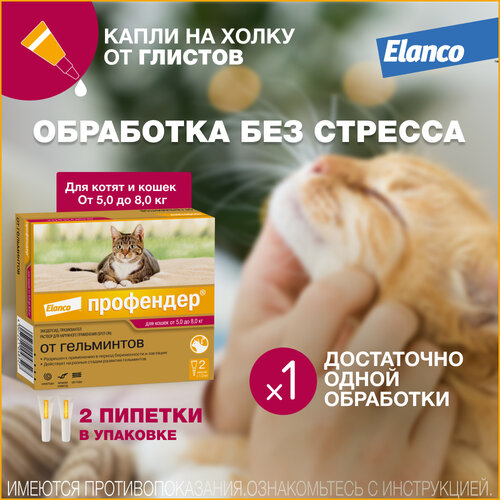 Профендер® (Elanco)  капли на холку от гельминтов для кошек от 5 до 8 кг - 2 пипетки фотография