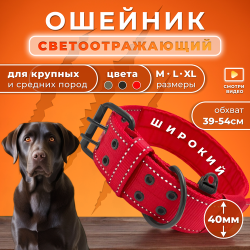 Ошейник для собак крупных и средних пород Doggy&Dog Shop широкий, светоотражающий, красный купить за 599 руб, фото