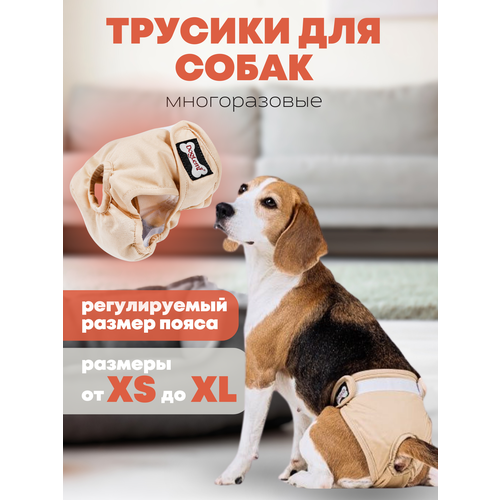 Трусы многоразовые PET&HOME для собак, подгузник для собак, полиэстер, бежевый, размер S купить за 512 руб, фото