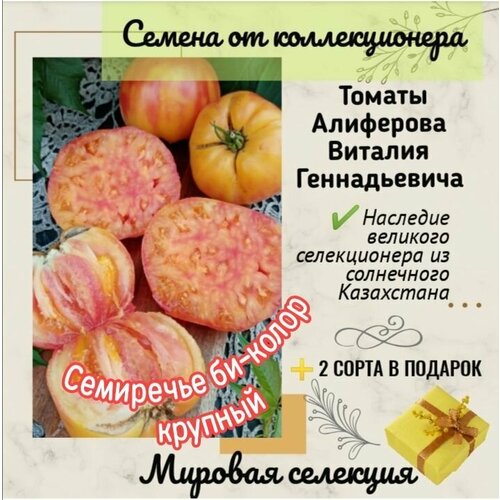 Томаты Виталия Алиферова, сорт 