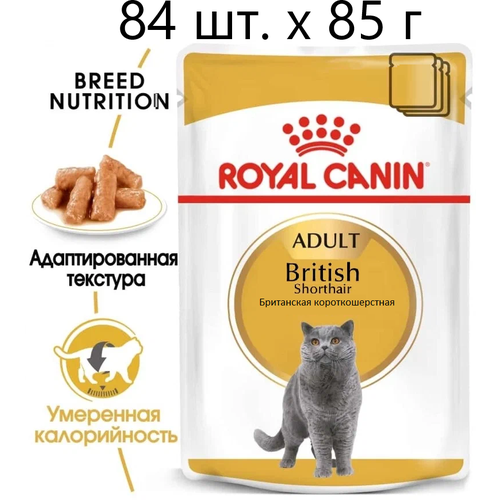 Влажный корм для кошек Royal Canin British Shorthair Adult, для взрослых кошек породы британская короткошерстная, 84 шт. х 85 г (кусочки в соусе) купить за 9217 руб, фото