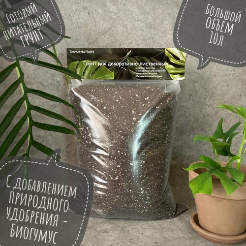 Готовый грунт 10 литров для комнатных растений и питательная земля Terracotta Plants на основе Биогумус. Земля для цветов и универсальный грунт купить за 769 руб, фото