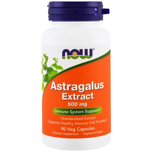 Astragalus Extract 500 мг, 500 мг, 200 мл, 110 г, 90 шт. фотография