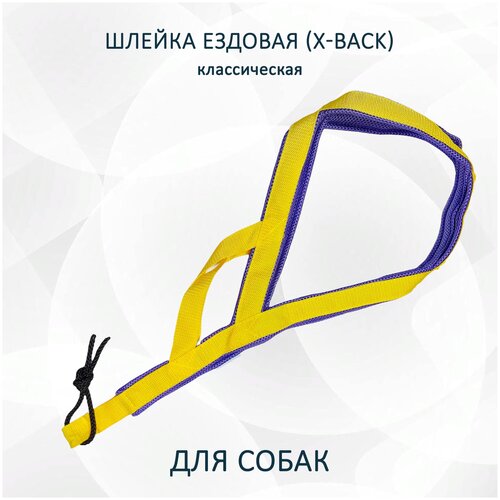 Шлейка ездовая totemica для собак X-Back, классическая 