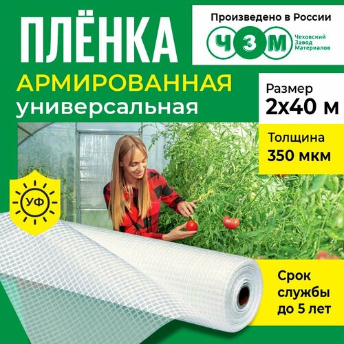 Пленка армированная универсальная 350 мкм, 2х40 м купить за 5555 руб, фото